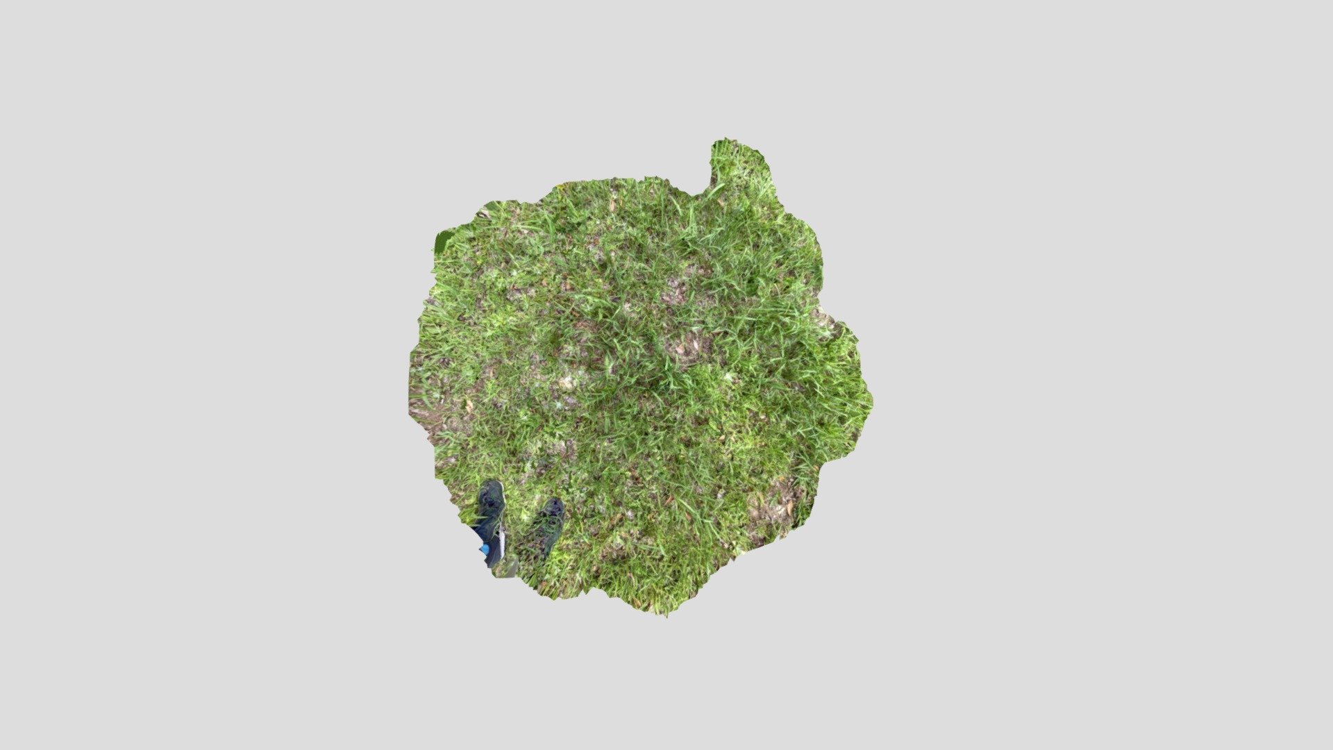 草1