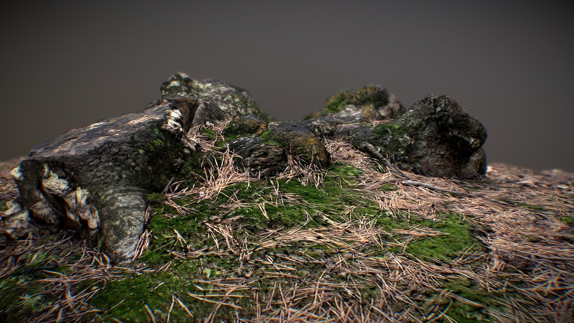 3D model Tree Stump 003: Photogrammetry - This is a 3D model of the Tree Stump 003: Photogrammetry. The 3D model is about a group of alligators in the grass.