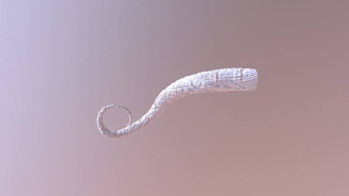 Extremely High Poly-Tentacle-First use of Mudbox 3D Model