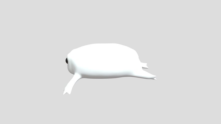 Rain Frog 3D Model