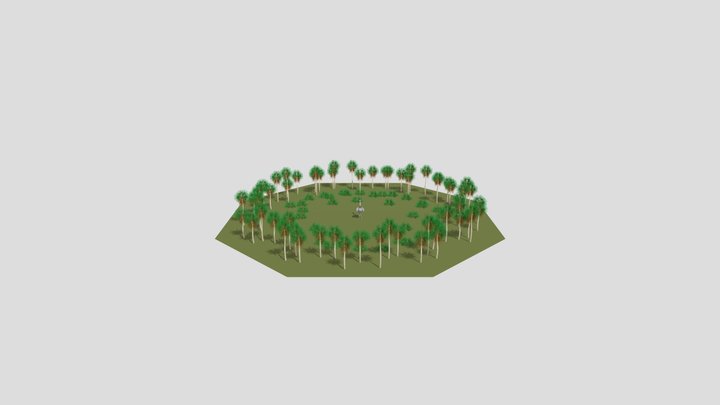 Palmar Test con ñandu 3D Model