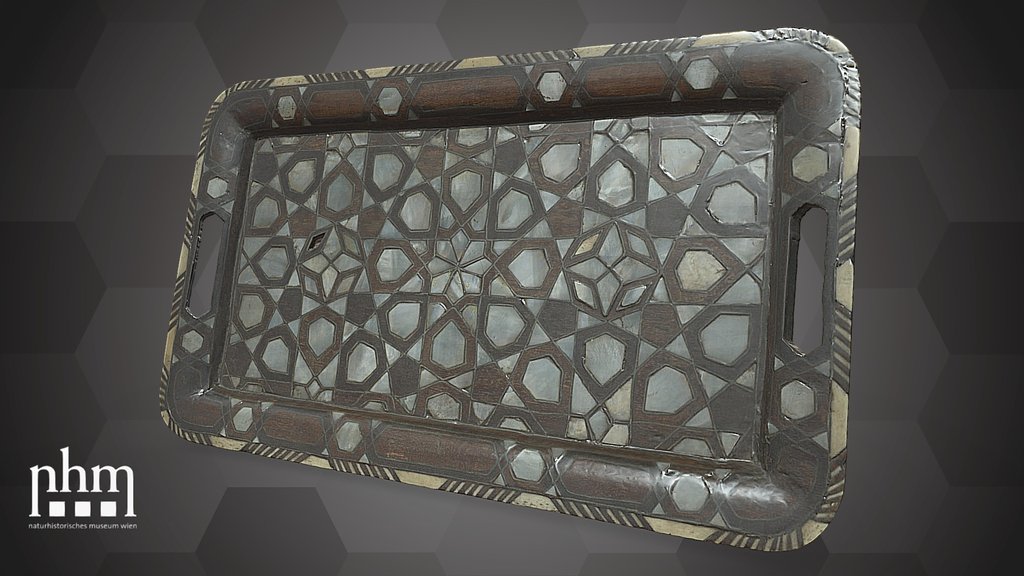 Tray (NHMW-ZOO-MO-0081100-ETH-075)