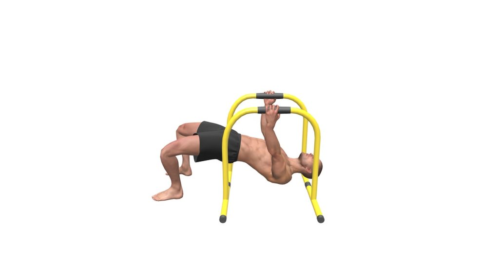 Lebert Feet Planted Inverted Rows - 3D model by gymsterapp [9a3ac2d ...