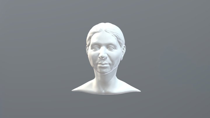Female Head (with hair) 3D Model