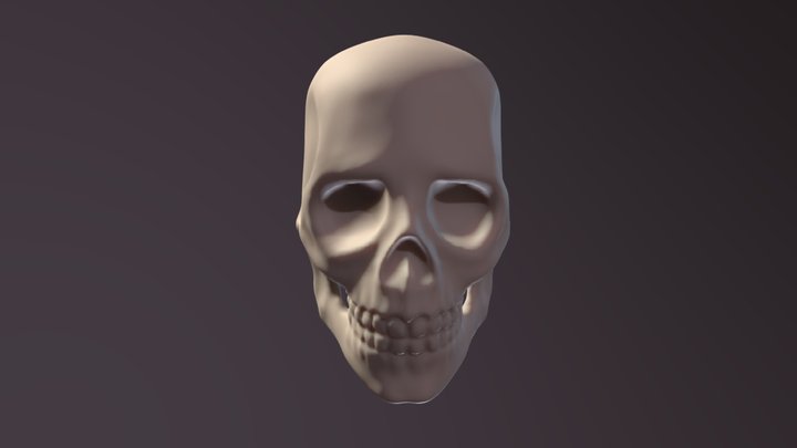 Human Skull 3D Model