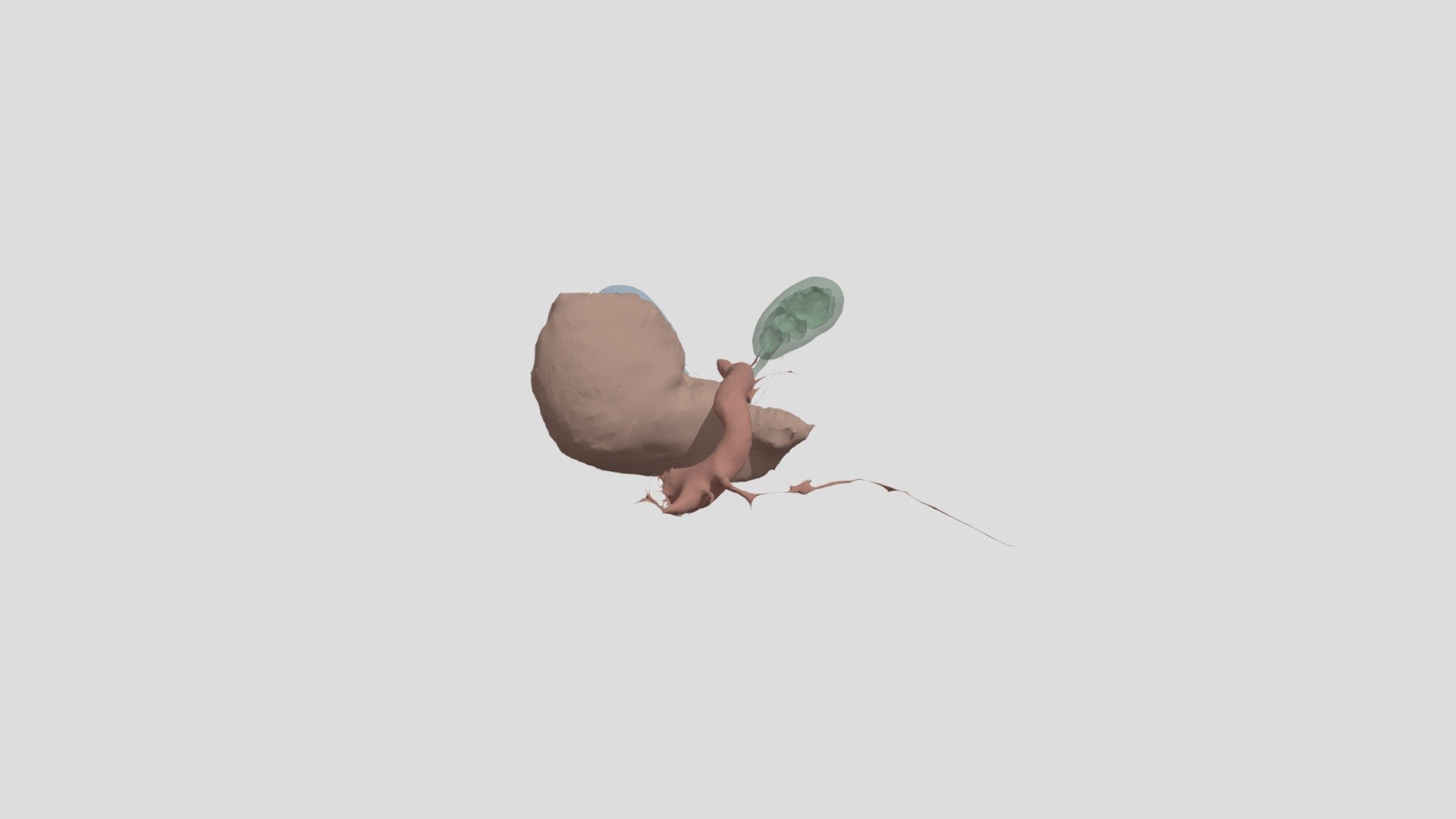 Kidneys and stuff