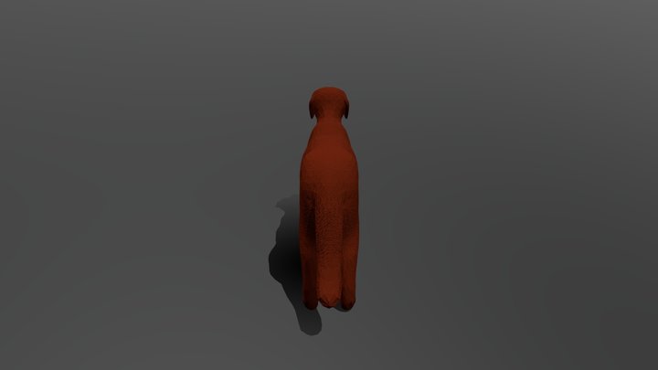 Chesapeake Bay Retriever 3D Model