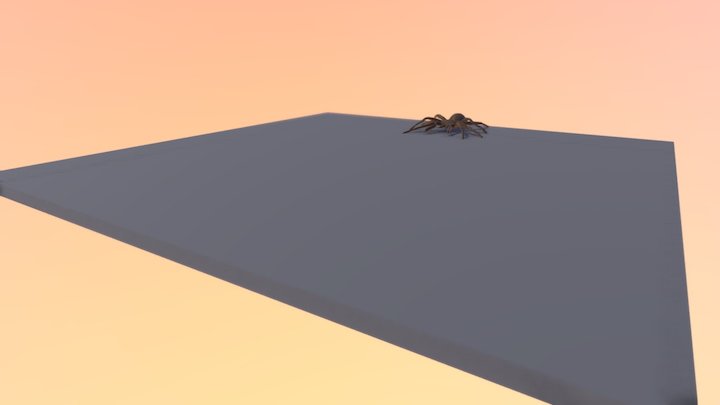 Animated Spider 3D Model