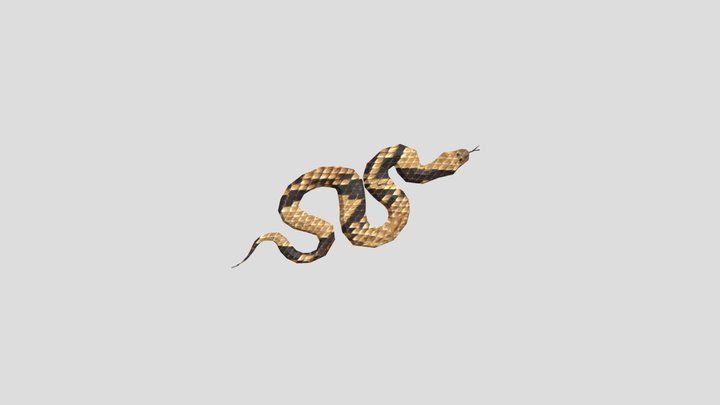 Snake 3D Model