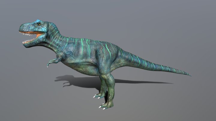TREX 3D Model