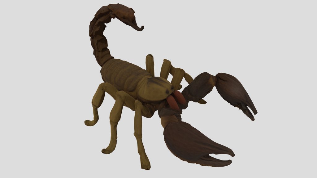 Deathstalker scorpion