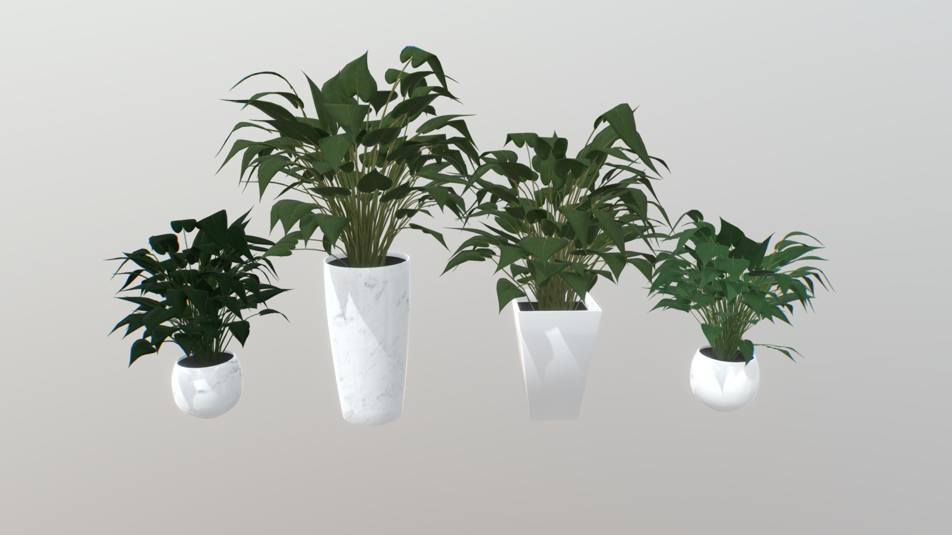 3D model Arrowhead Plant Kit - This is a 3D model of the Arrowhead Plant Kit. The 3D model is about a group of potted plants.