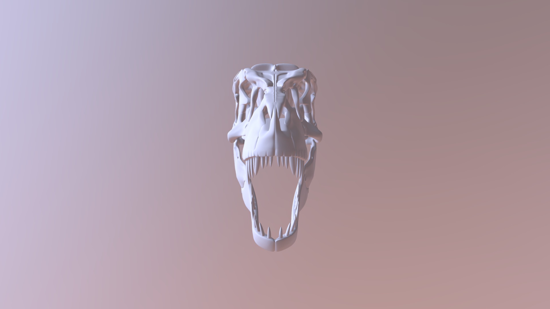 3D model Tyrannosaurus rex Skull - This is a 3D model of the Tyrannosaurus rex Skull. The 3D model is about a white skull with a white background.
