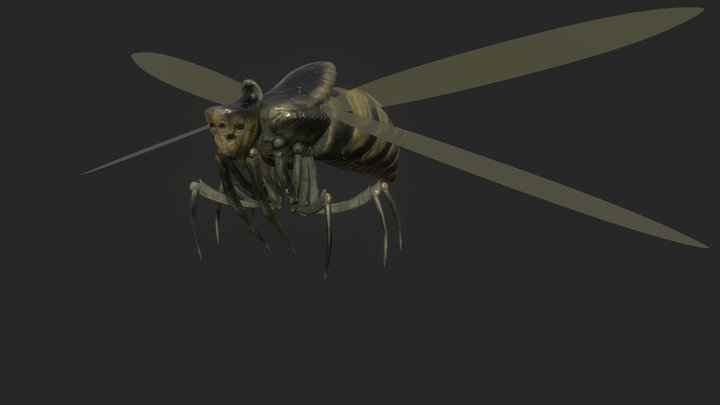 Arachnid, bug 3D Model