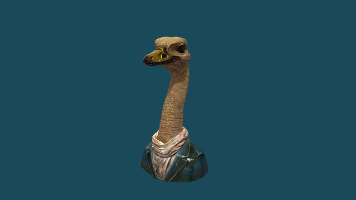 Struisvogel Scan 3D Model