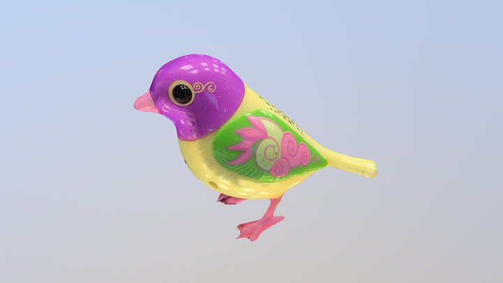 Scanned bird – Free 3D Model STL