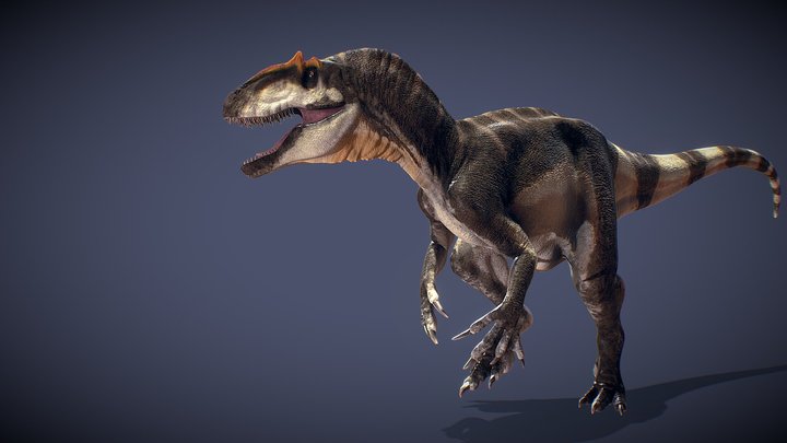 Allosaurus fragilis 3D Model