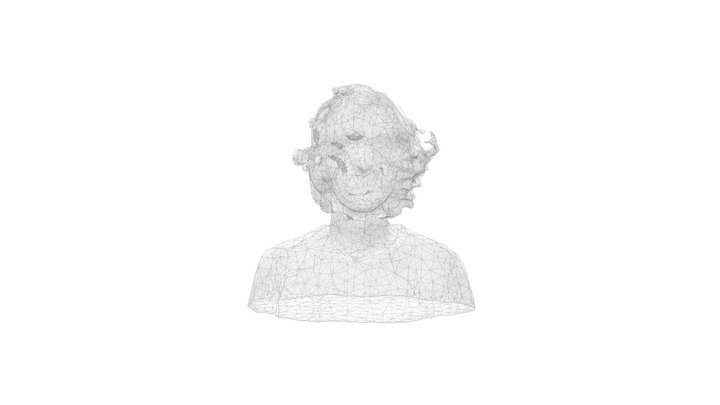 Portrait 3D Model