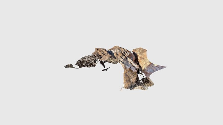 20231231 Batwing east limb lnc2 3D Model