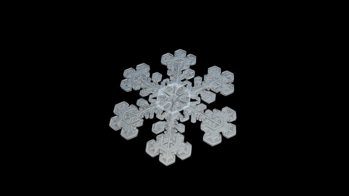 Stellar Plate Snowflake 3D Model