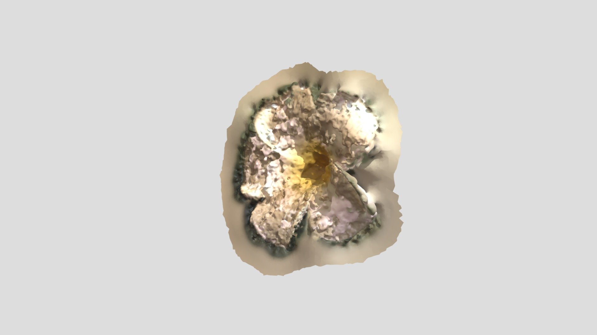 flower-model