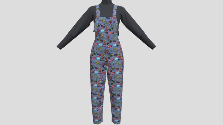 Overall 3D Model
