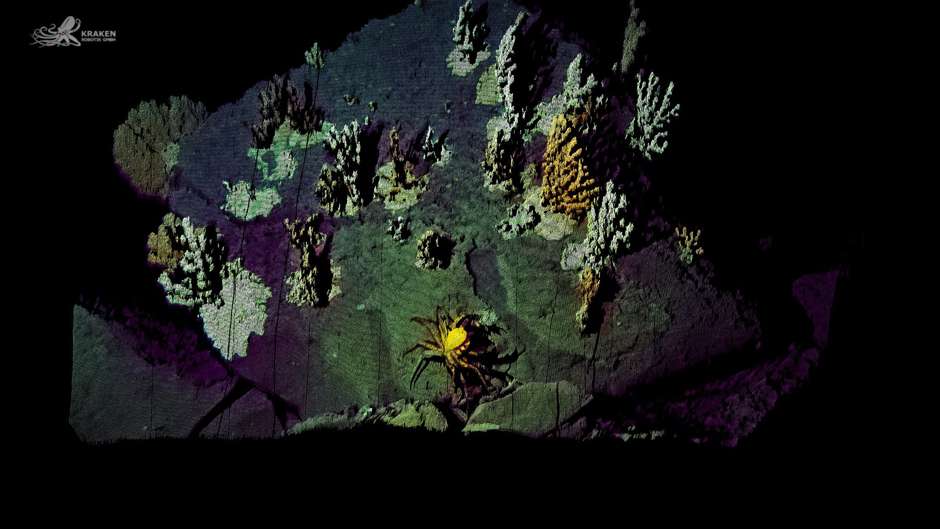 Coldwater Coral III