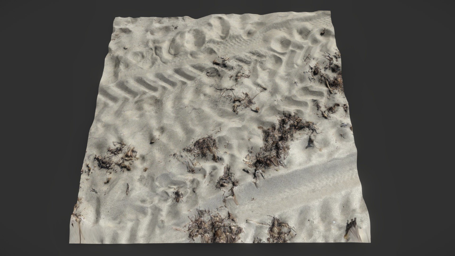 Beach 3D Scan
