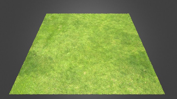 Grass Ground IV 3D Model