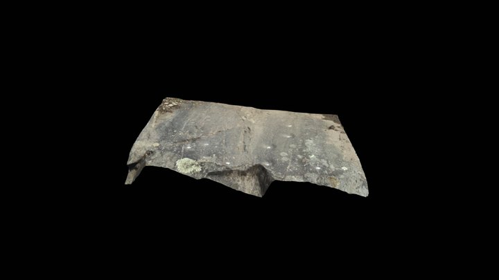 Cupmarks_02 3D Model
