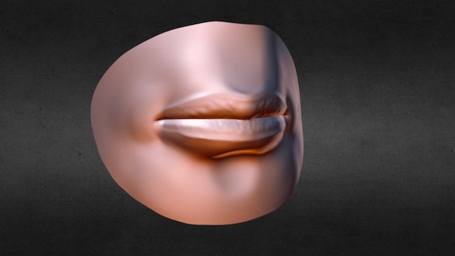 Mouth Anatomy Practice 3D Model