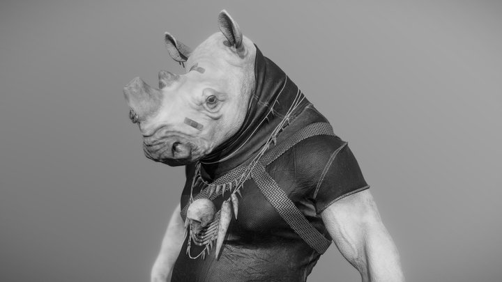 Rhino 3D Model