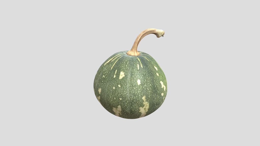 Squash Small