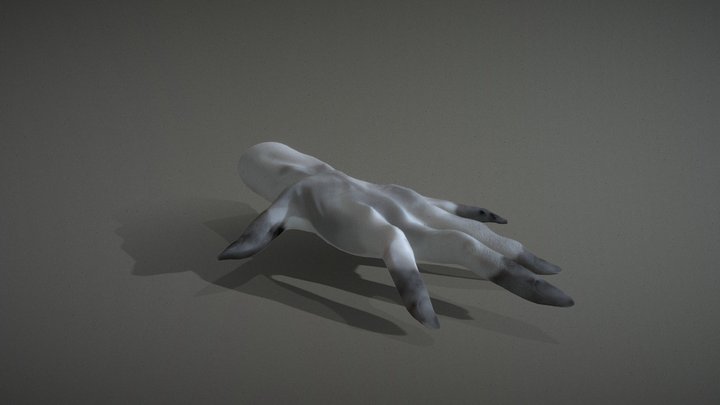 HAND MOVE 3D Model