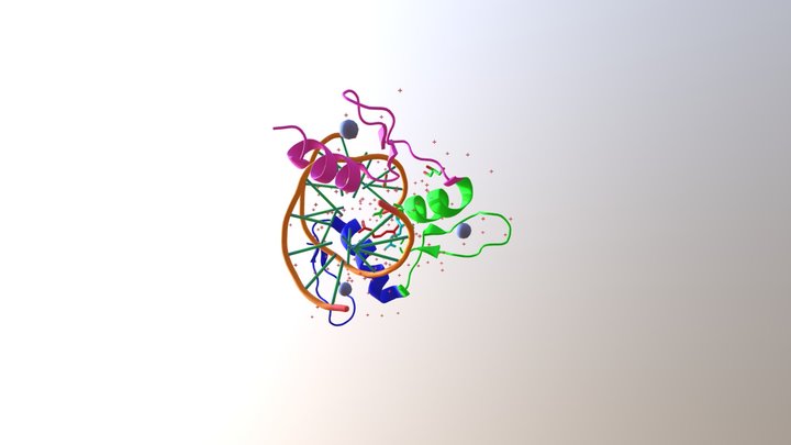 Klf4 ZnF in complex with methylated DNA 3D Model