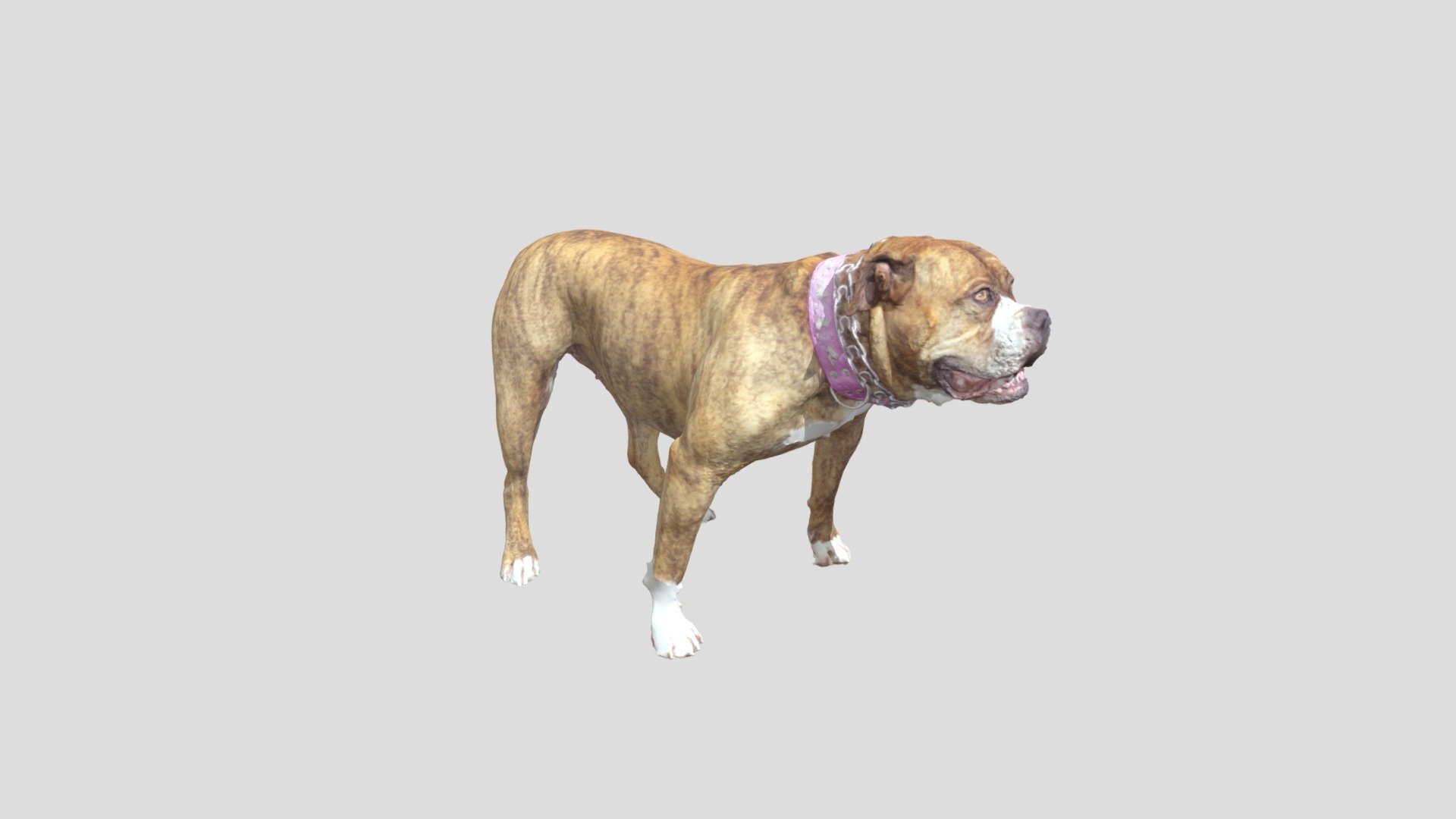 Sadie