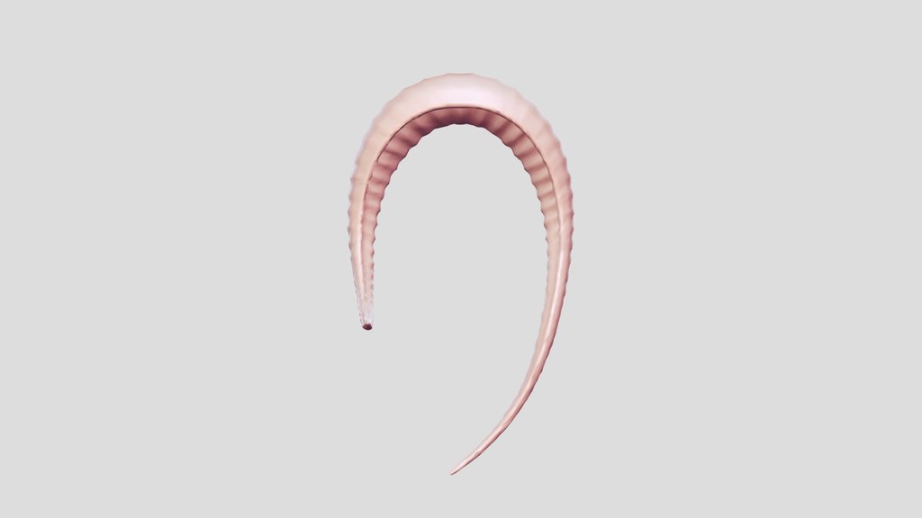 Low-poly Tentacle