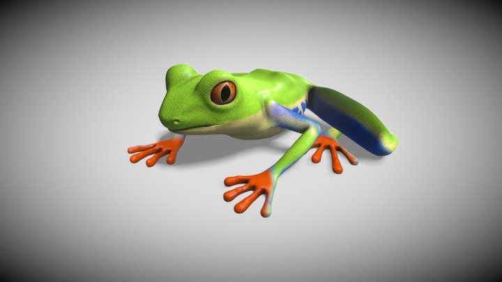 Scene 3D Model