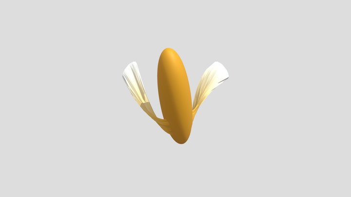 LA COSA MAS RANDOM DE TODA LA VIDA 3D Model