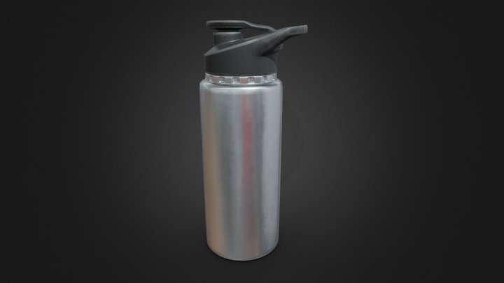 Metal Water Bottles 3D model