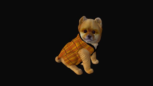 Pomeranian 3D Model