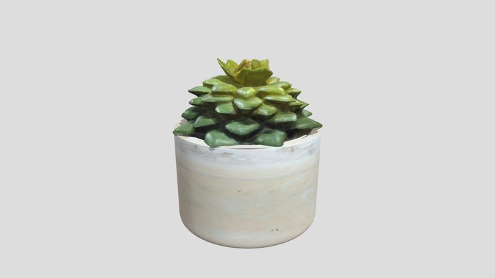 Realistic Desk Pot Plant 3D Model