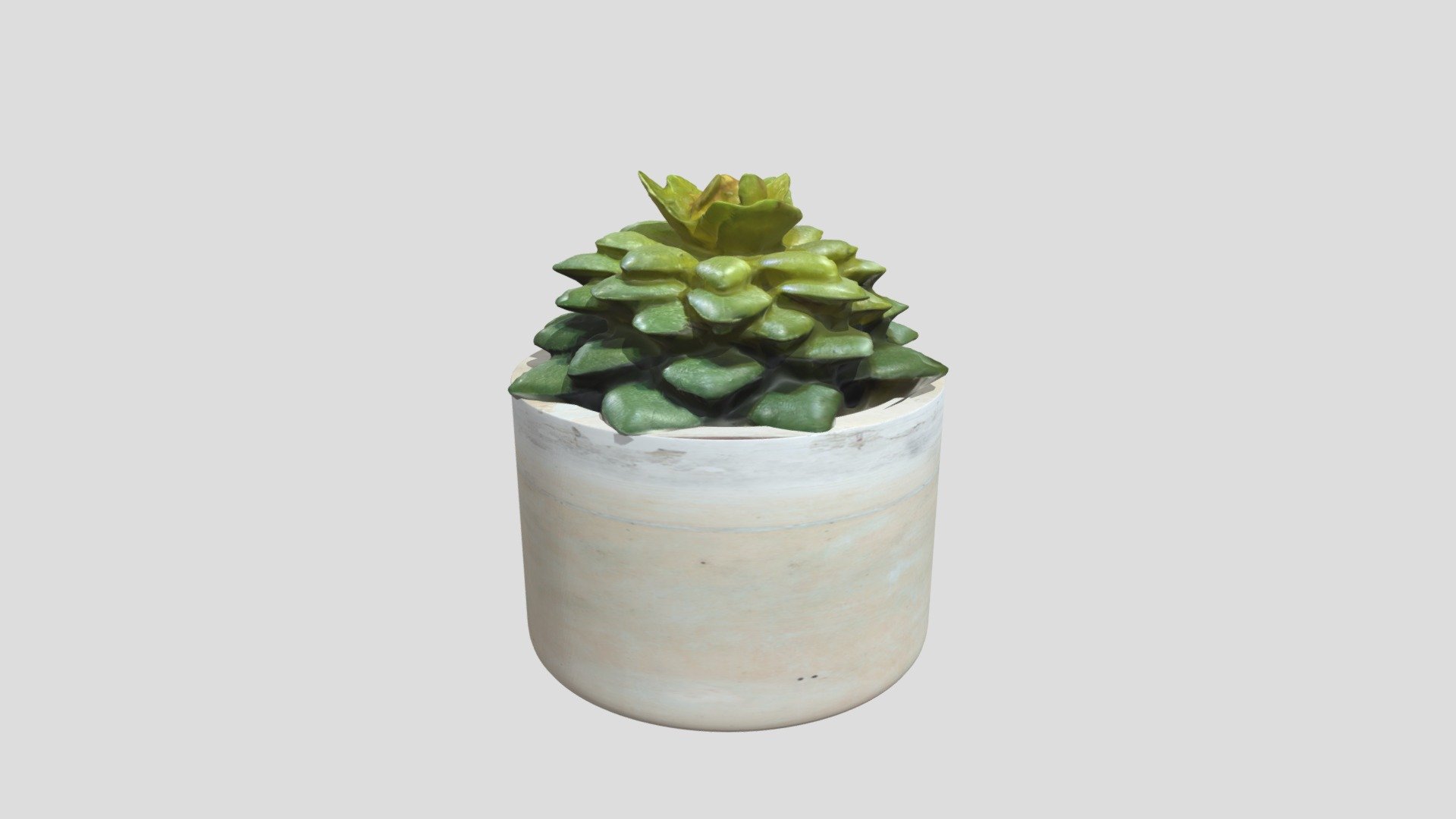 Realistic Desk Pot Plant - 3D model by SpiritZone [9a78a7f] - Sketchfab