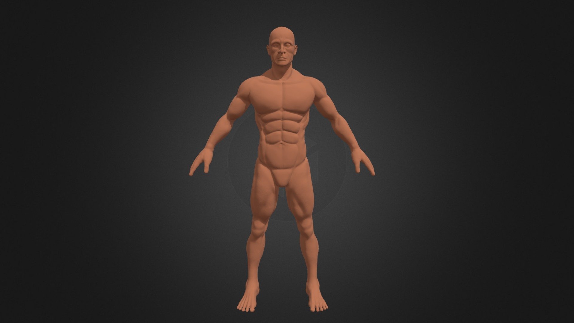 Muscular Man Sculpt