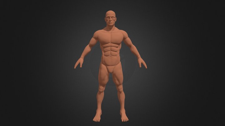 Muscular Man Sculpt 3D Model
