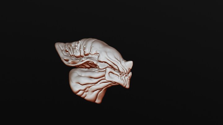 Alien  bust 3D Model