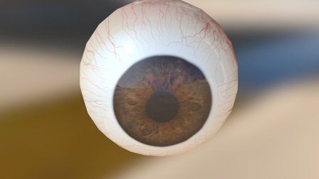 Realistic Eye 3D Model