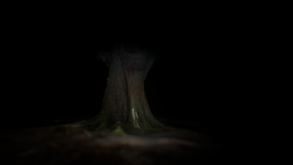 Prince's tree