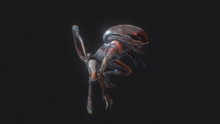 Xenomorph Alien- Anthology 3D Model