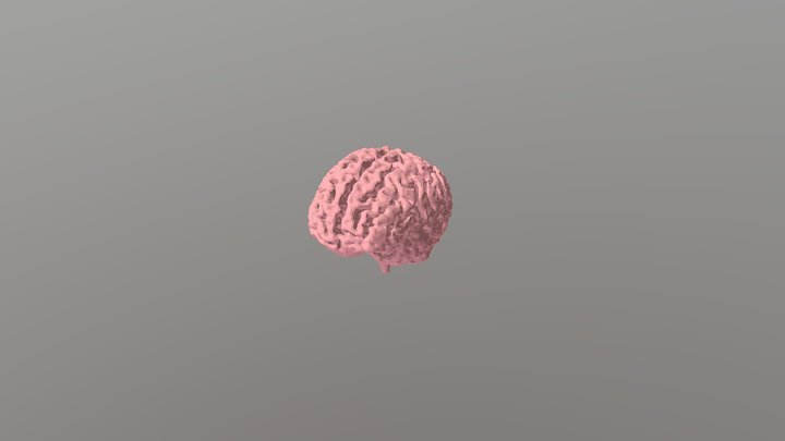 Finished Brain STL 3D Model